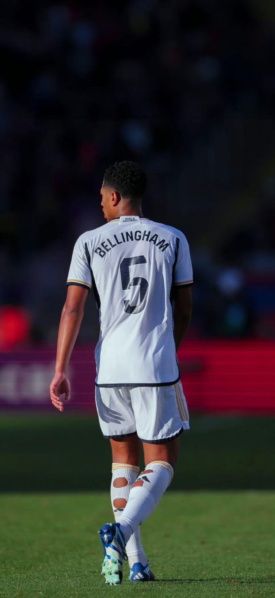 费耶诺德筹划将现有主场升级为下沉式球场，预计能容纳5.6万人（费耶诺德拟将现主场改造为下沉式球场，预计可容纳约5.6万人）